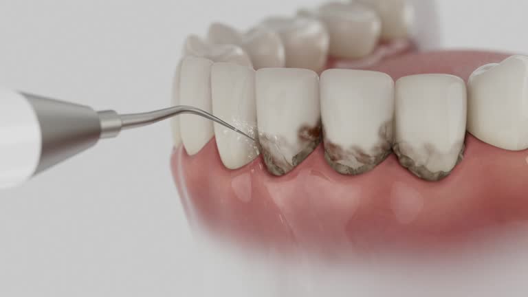 Reliable Dental contractor in Muscatine, IA by Dentist Open Now